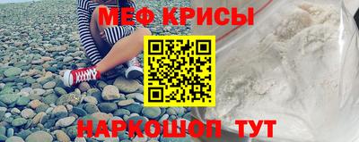 индика Кингисепп