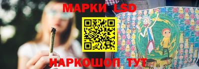 индика Кингисепп