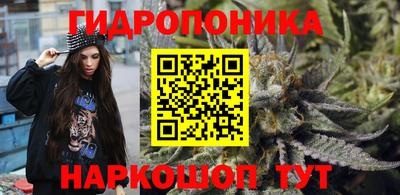 индика Кингисепп