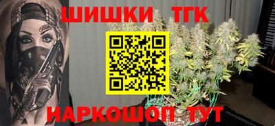 индика Кингисепп
