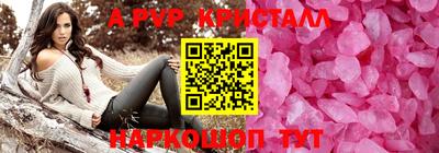 индика Кингисепп