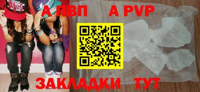 индика Кингисепп