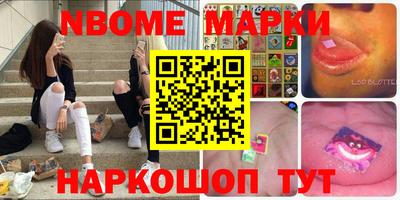 индика Кингисепп