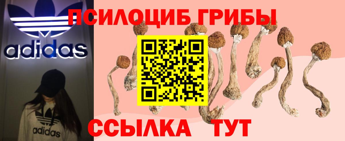 Галлюциногенные грибы Psilocybine cubensis  Галлюциногенные грибы Magic Shrooms  наркотики  Вход с VPN  Заводоуковск 